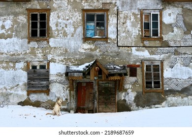 A Dog On A Leash At The Entrance Of An Old House With Broken Wooden Windows