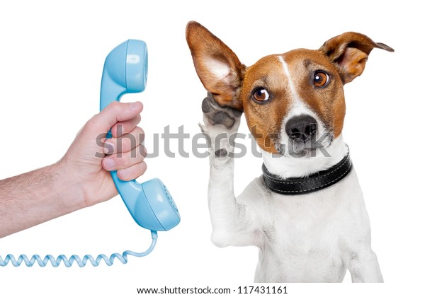 Hund Auf Der Handy Mannliche Hand Stockfoto Jetzt Bearbeiten