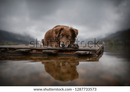 Similar – Foto Bild Unterwegs im Hochgebirge