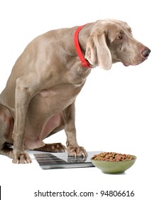 4,673 Dog on scale Images, Stock Photos & Vectors | Shutterstock