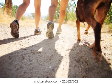 a dog out enjoying nature with two women