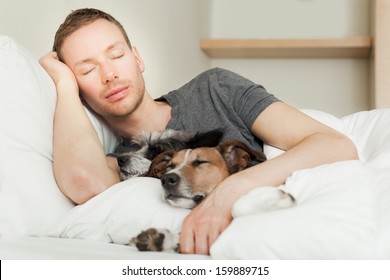 Dog Owner In Bed With Two Cute Dogs All Sleeping