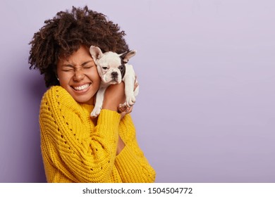 Dog Owner And Her Pet. Happy Ethnic Curly Girl Holds Cute Little Puppy Near Face, Expresses Love And Care To Domestic Animal, Buys Dog Of Favourite Breed, Laughs, Has Eyes Closed With Pleasure