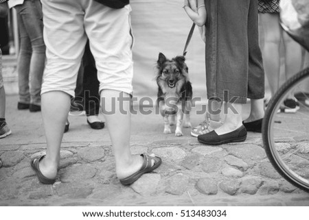 Similar – Image, Stock Photo three legs Footwear Bag