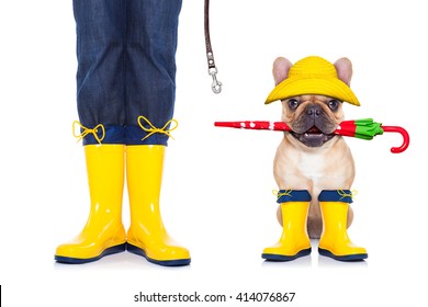 Dog And Owner With Rain Boots Ready To Play Or Have Fun Together And Go For A Walk With Leash Isolated On White Background