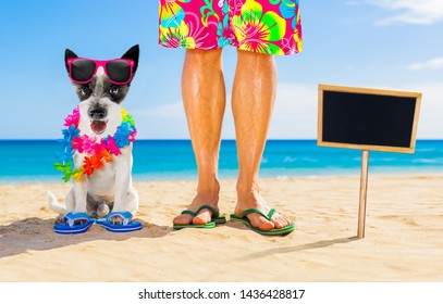 Dog And Owner Sitting Close Together At The Beach On Summer Vacation Holidays, Close To The Ocean Shore, Wearing Fancy Funny Sunglasses