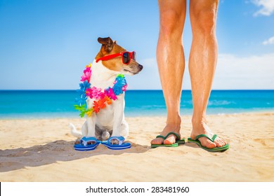 Dog And Owner Sitting Close Together At The Beach On Summer Vacation Holidays, Close To The Ocean Shore, While Looking To The Side