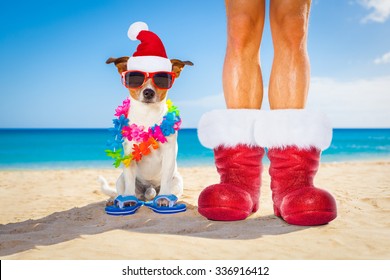 dog and owner sitting close together at the beach on summer  wearing a santa claus hat and red boots on christmas holidays