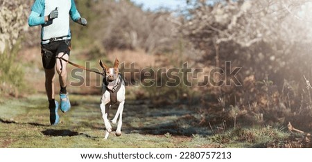 Dog and its owner taking part in a popular canicross race. Canicross dog mushing race. Spring outdoor sport activity Stock photo © 