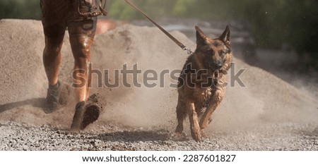 Dog and its owner taking part in a popular canicross race. Canicross dog mushing race. Outdoor sport activity. The German Shepherd together with the owner. Obstacle course for dogs and runners Stock photo © 