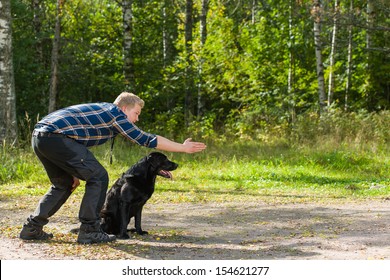 3,337 Hunting Dog Lab Images, Stock Photos & Vectors | Shutterstock