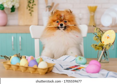 the dog was painting eggs for Easter and got dirty in the paint