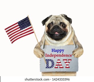 The Dog Patriot With A Sign Around Its Neck (Happy Independence Day) Holds An American Flag. White Background. Isolated.