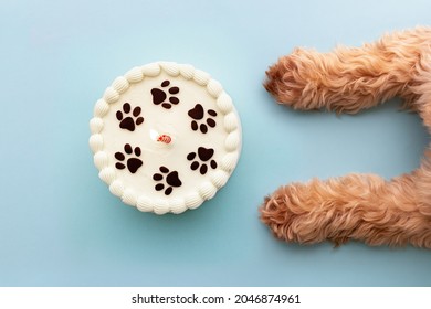 Dog with paw print birthday cake and birthday candle - Shutterstock ID 2046874961
