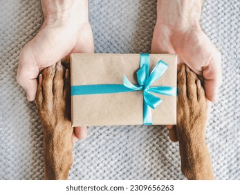 Dog paws, male hands, gift box and blank note for a congratulatory inscription. Top view. Closeup, indoors. Congratulations for family, relatives, loved ones, friends and colleagues. Pet care concept - Powered by Shutterstock