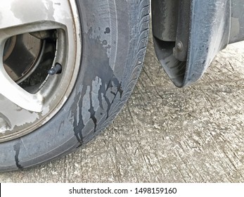 Dog Pee On Car Wheel, Wet Mark On Tire