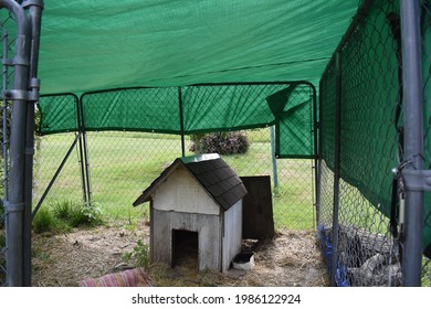 Dog Pen With A Green Tarp Over It For Shade