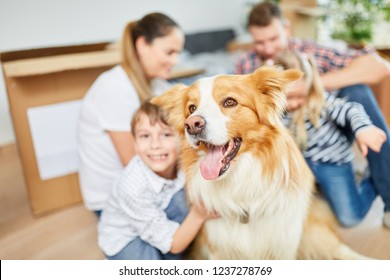 Dog As A Pet And Friend When Moving With Family To The New Home