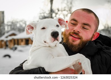 Dog Pit Bull And Her Friend, Her Loving Master Who Holds The Dog In Her Arms, Hugs And Kisses. The Dog Feels Good On The Owner's Hands