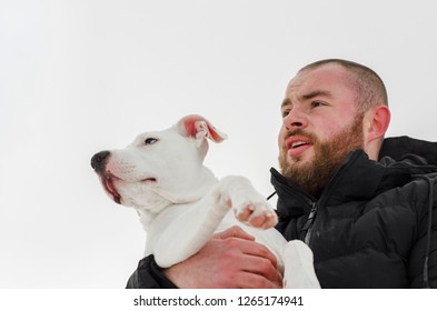 Dog Pit Bull And Her Friend, Her Loving Master Who Holds The Dog In Her Arms, Hugs And Kisses. The Dog Feels Good On The Owner's Hands