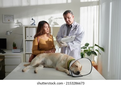 Dog with plastic Elizabethan collar around neck sleeping on medical table when veterinarian writing down prescription