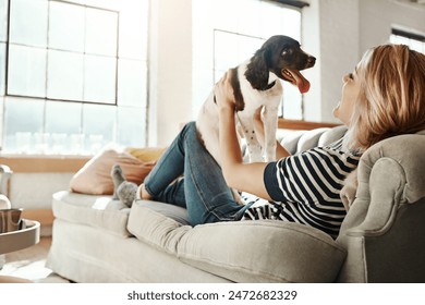 Dog, playing or happy woman in lounge to relax on living room sofa in house, home or apartment. English spaniel puppy, lifting or person with love, wellness or support for bonding with fun pet animal - Powered by Shutterstock