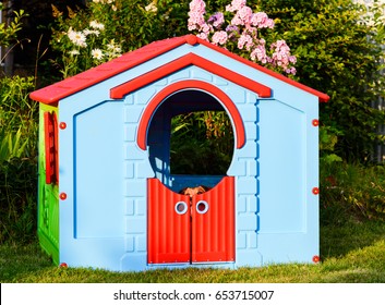 Dog Playing Hide And Seek Game At Garden Playground House