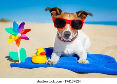 Dog Plays With Sunglasses At The Beach On Summer Vacation Holidays