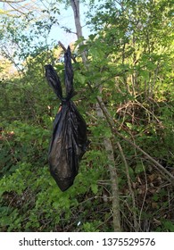 Dog Poo Bag Left Hanging On A Branch Near Woods