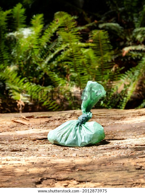 Dog poop in doggy bag left on trail. Green dog bag\
on tree trunk in front of defocused foliage. Concept for left for\
pickup, forgotten or discarded dog waste by a bad dog owner.\
Selective focus.
