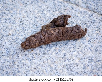 Dog Poop On Street Concept Unhygienic Stock Photo (Edit Now) 2115125759