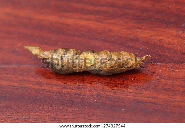 Dog Poop On Wooden Floor Stock Photo Edit Now 274327544