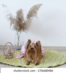 Dog posing for easter on a green leaf