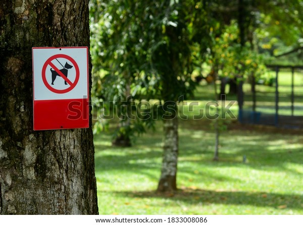 Dog\
prohibition sign. No Dogs Allowed In the Park\
Sign.\
