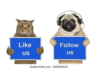 A Dog Pug And Beige Cat Are Holding Blue Signs T Says Like Us And Follow Us. White Background. Isolated.