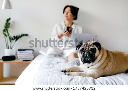 Dog pug is looking at the camera and behind him young girl drinking tea while studying. Home office. Concept of working in isolation.