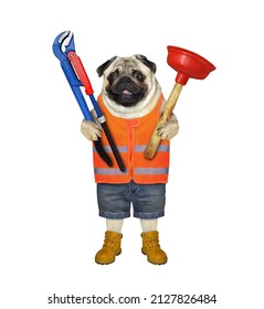 A dog pug plumber holds wrench and plunger plumber holds a sink and a adjustable pipe wrench. White background. Isolated.