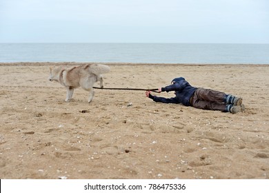 The dog pulls the child for a leash on the sand on the beach and the ocean. Pet training at the beach