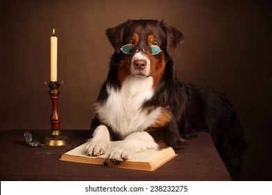 Dog Reading A Book