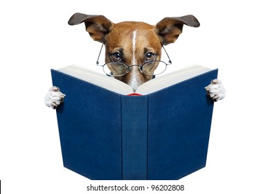 Dog Reading A Book