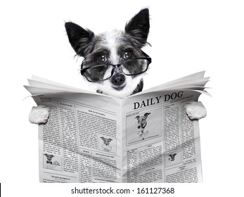 dog reading and holding a blank newspaper
