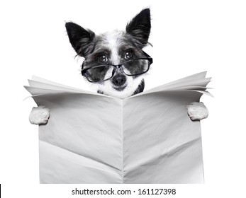 Dog Reading And Holding A Blank Newspaper