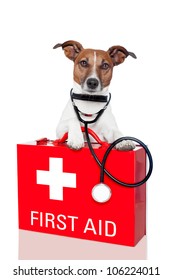 Dog With A Red  First Aid Kit