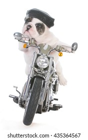 Dog Riding A Motorcycle On White Background