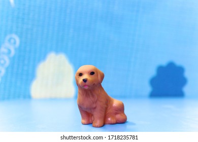 Dog rubber toy in blue background of shallow Dof with copy space