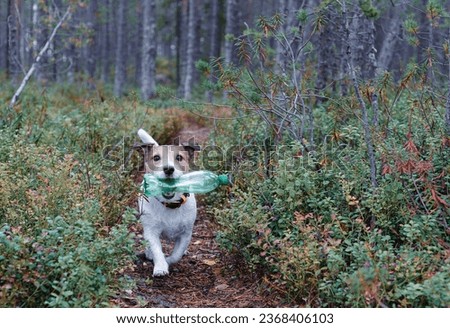 Dog running by path in forest holding plastic bottle helping clean up litter from nature