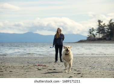 Dog Running On The Beach Toward Camera With Female Owner Watching From Behind