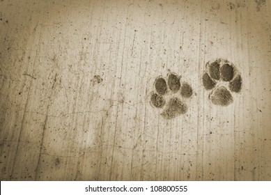 The dog 's footprints on cement floor background