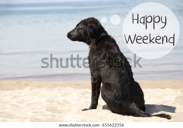 Dog Sandy Beach Text Happy Weekend Stock Photo Edit Now 655622356