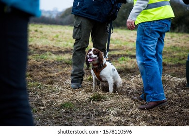 A Dog Sat In A Muddy Field Panting, Surrounded By Other People While It Is In A Leash/lead Being Held By Its Owner. Set In A Agricultural Scene With With Nice Focus On The Dog.